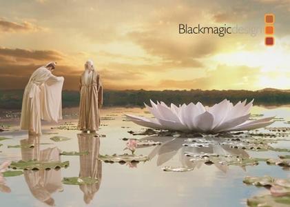 Blackmagic Design Fusion Studio 16 Beta 7