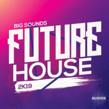 Big Sounds Future House 2K19 WAV MIDi Serum Presets