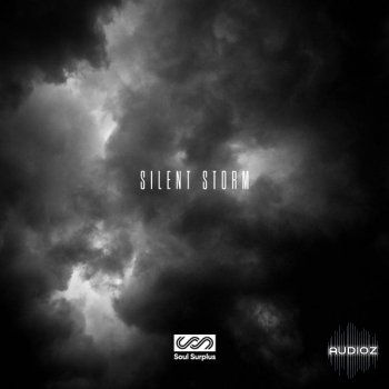 Soul Surplus Silent Storm WAV-DECiBEL