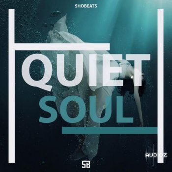 Shobeats Quiet Soul WAV MiDi SYLENTH1 KONTAKT NEXUS OMNiSPHERE PRESETS HAPPY NEW YEAR