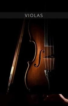 Auddict United Strings of Europe: Violas KONTAKT-DECiBEL