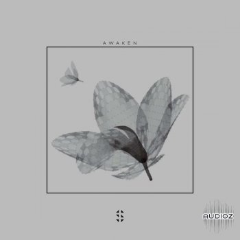 Samplified Awaken Sample Pack WAV MIDI-DECiBEL