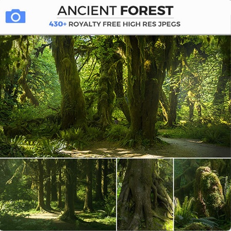 Post Cover