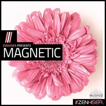 Zenhiser Magnetic MULTiFORMAT-DECiBEL