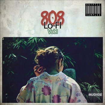 Kryptic Samples Lo-Fi 808 Vol 1 WAV MIDI