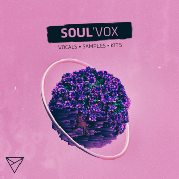 Unmute SoulVox WAV MiDi-DISCOVER