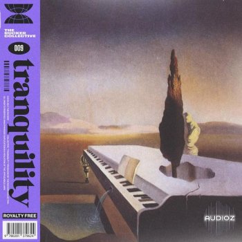 The Rucker Collective 009 Tranquility Compositions and Stems WAV-DECiBEL