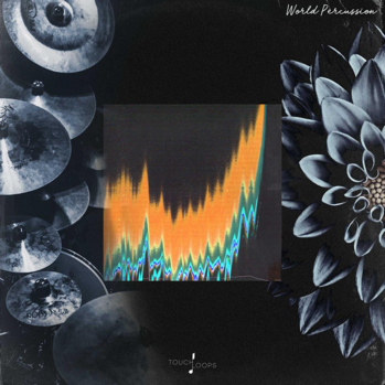 Touch Loops World Percussion WAV-DISCOVER