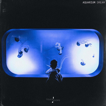 Touch Loops Aquarium Dream WAV MiDi-DISCOVER