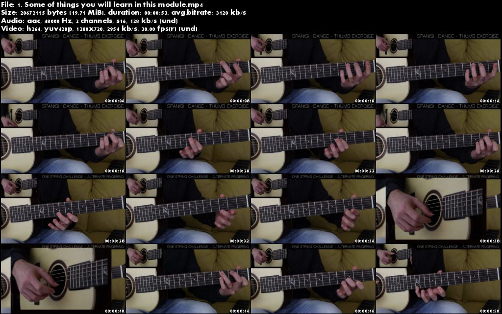 Acoustic Guitar System | Melodic Guitar Lessons for Beginner