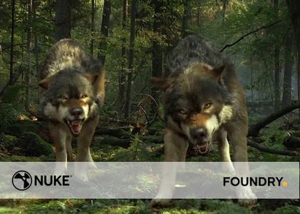 The Foundry Nuke 12.2v3 Win/Mac/Linux