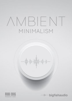 Big Fish Audio Ambient Minimalism KONTAKT