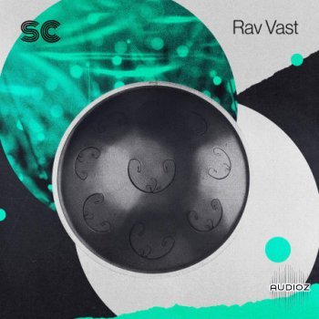 Sonic Collective Rav Vast MULTiFORMAT-FLARE