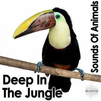 Pro Sound Effects Library Sounds of Animals Deep in the Jungle FLAC