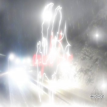 Palmtri Drumkit Vol. 1 WAV MiDi FLP FST ElectraX Spire and DUNE 2 Presets-FANTASTiC