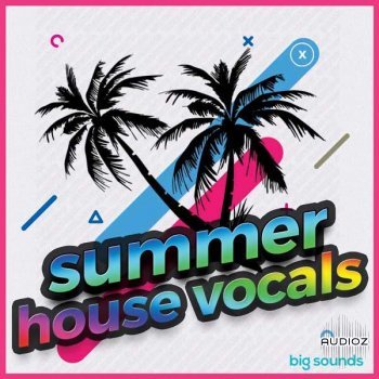 Big Sounds Summer House Vocals MULTiFORMAT-FLARE