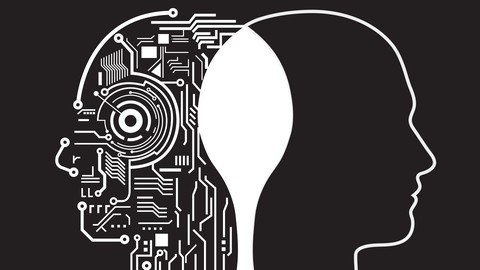 Data Science: R Programming for Beginners