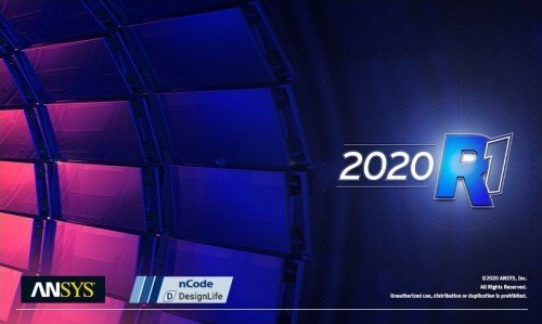 ANSYS 2020 R2 nCode DesignLife x64