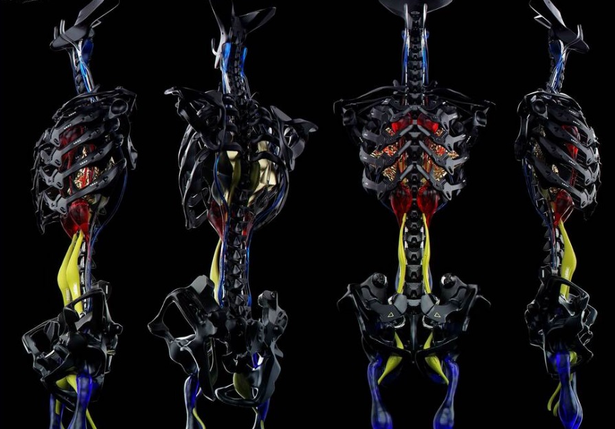 Gumroad – Endo Skeleton Tutorial