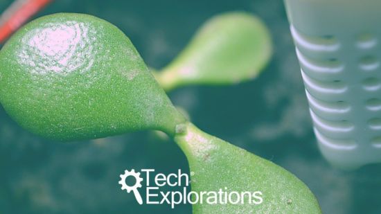 Node-RED and ESP32 Project