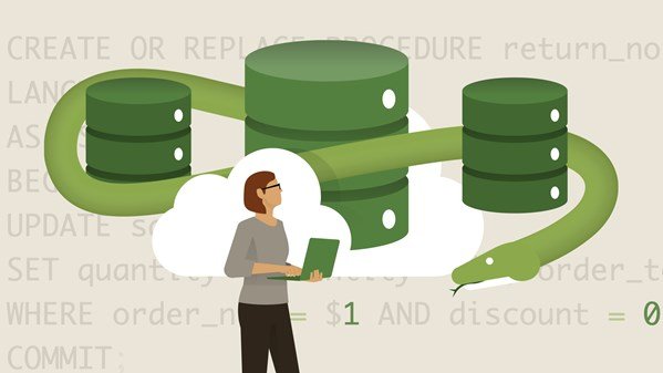 Advanced Python: Working with Databases