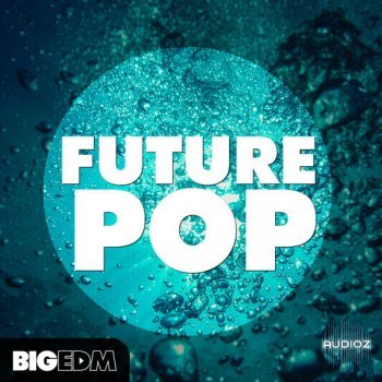 Big EDM Future Pop MULTiFORMAT-DECiBEL