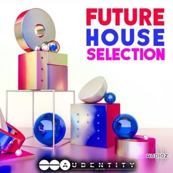 Audentity Records Future House Selection MULTiFORMAT-DECiBEL