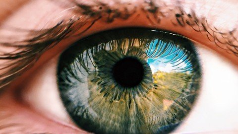 Learn OpenCV in 2 Hours with 6 Hands-On Projects in 2020