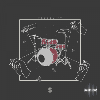 Samplified Flodelity MULTiFORMAT-FLARE