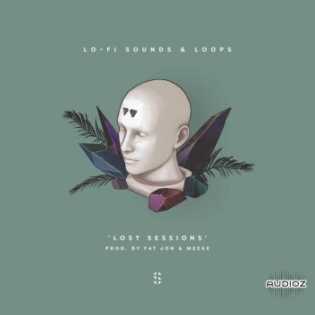 Samplified Lost Sessions MULTiFORMAT-FLARE