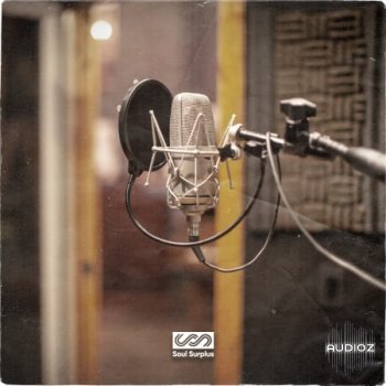 Soul Surplus High Definition Chipmunk Soul WAV