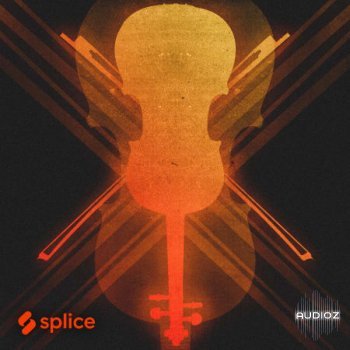 Splice Originals Disco Strings MULTiFORMAT