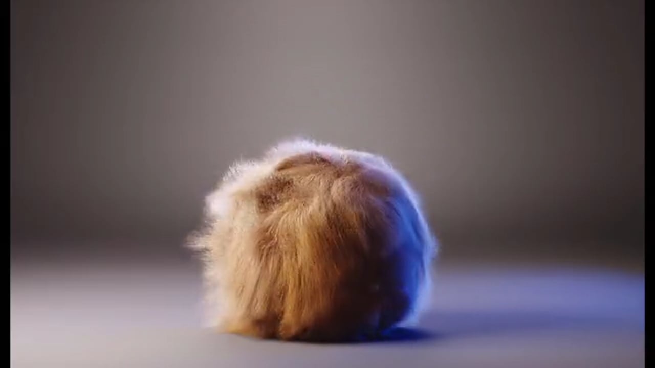 Patreon – Animating a Furball using Ornatrix with Johannes Lindqvist