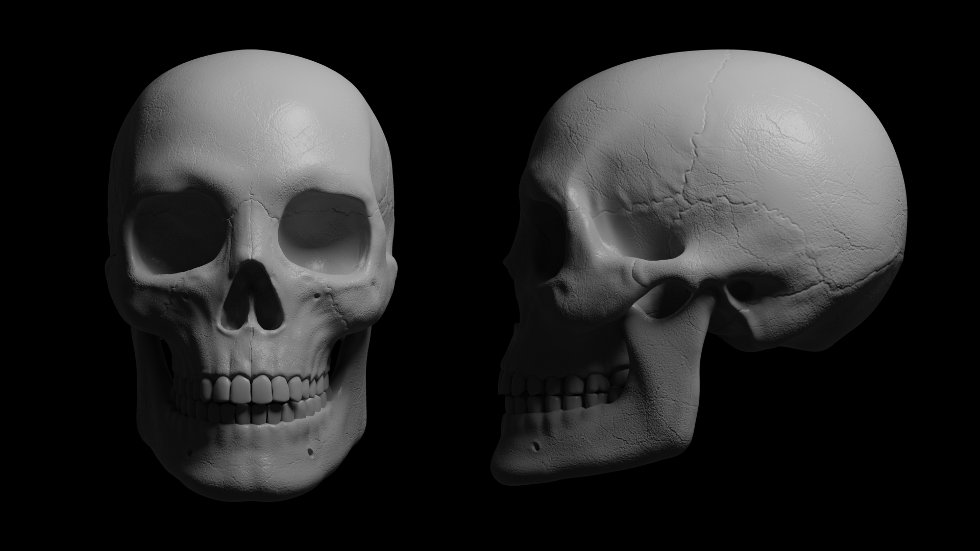 Digital sculpting for beginners.