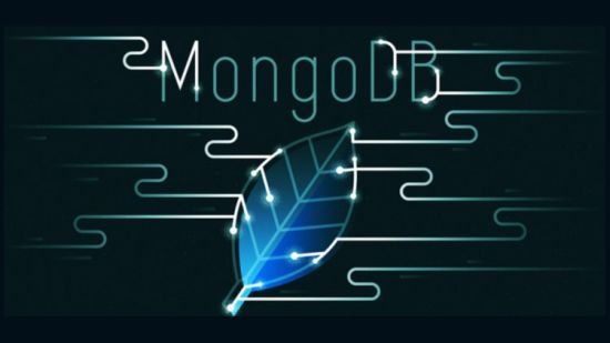 Mongo GoLang Go Python PHP Node React Management Interface