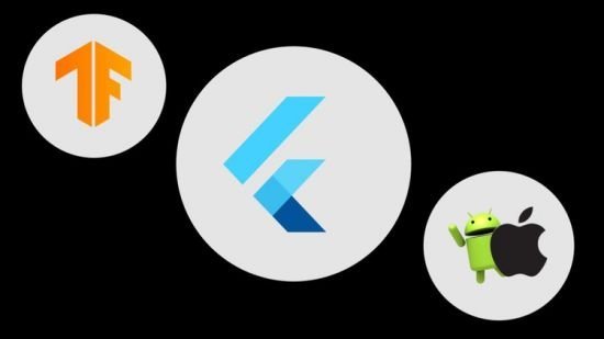 Tensorflow lite for Flutter Smart Mobile app development