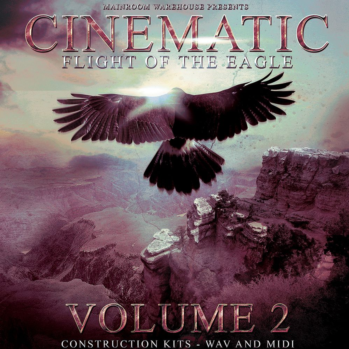 Mainroom Warehouse Cinematic Flight Of The Eagle Volume 2 WAV MiDi-DISCOVER screenshot