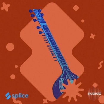 Splice Originals Indian Roots Vol 2 WAV
