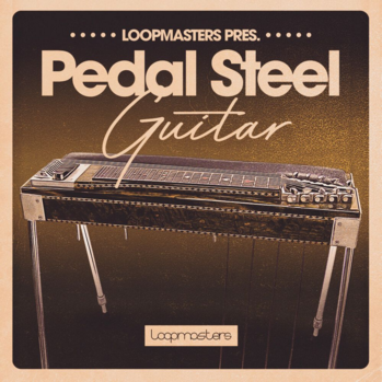 Loopmasters Pedal Steel Guitar MULTi-FORMAT-DISCOVER