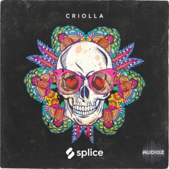 Splice Originals Criolla Latin Percussion WAV