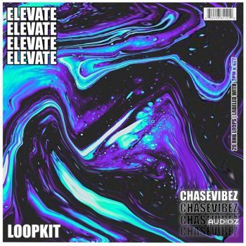 Chase Vibez Elevate RnB LoopKit WAV-DECiBEL
