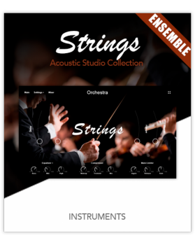 Muze Strings Ensemble KONTAKT