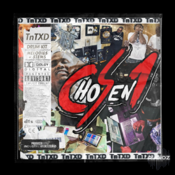 ProducerGrind Chosen 1 Drums and Melodies WAV-FANTASTiC