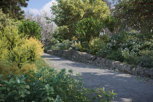 Maxtree – Plant Models Vol 76