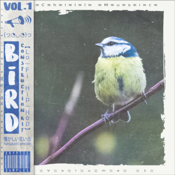 Kryptic Samples Bird Volume 1 WAV MiDi-DISCOVER