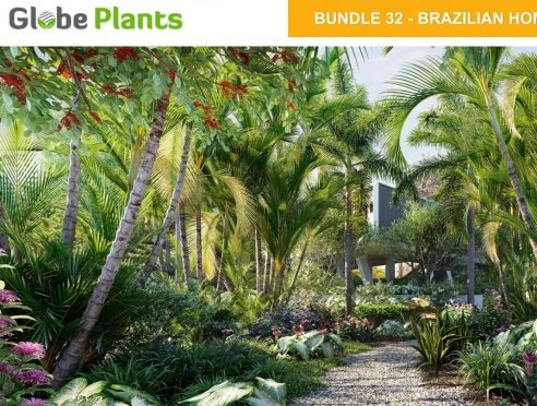 Globe Plants – Bundle 32 – Brazilian Home & Garden Plants (3D-Models)