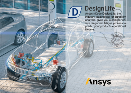 ANSYS 2022 R1 nCode DesignLife x64