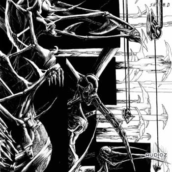 ShamanStems Torment Mutilated Drums WAV-FANTASTiC