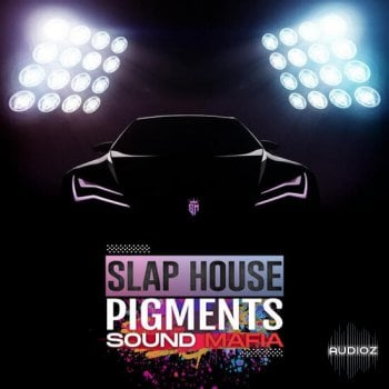 Sound Mafia Slap House Pigments MULTiFORMAT-DECiBEL