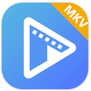 AVAide MKV Converter for Mac 1.0.10